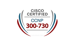 SVPN: Implementing Secure Solutions with Virtual Private Net